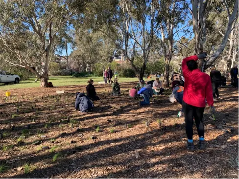 ROYAL PARK